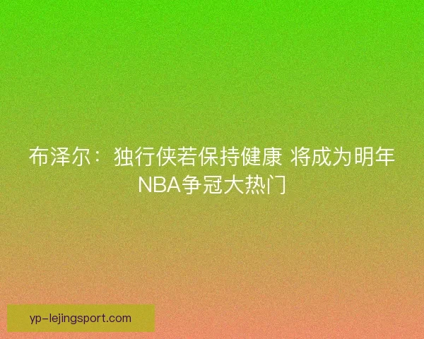 布泽尔：独行侠若保持健康 将成为明年NBA争冠大热门