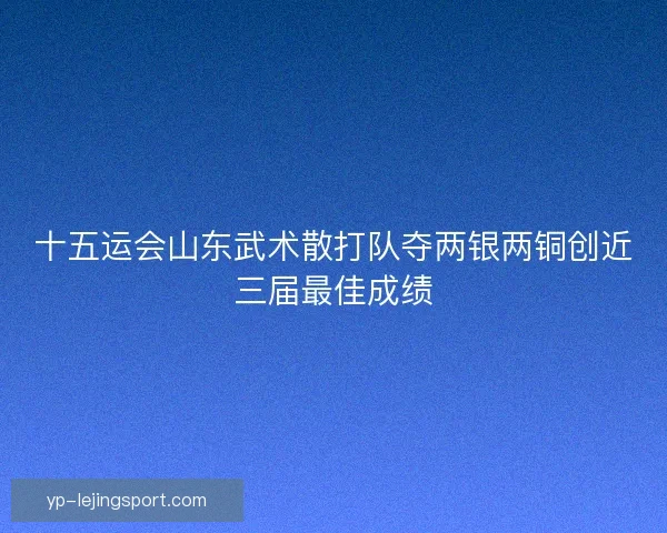 十五运会山东武术散打队夺两银两铜创近三届最佳成绩